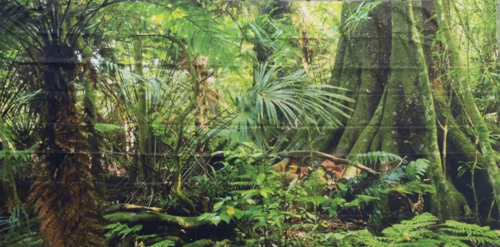 Horyzont Jungle 4 - tło fotograficzne tropikalny las - rent4events.pl, rent4wedding.pl.