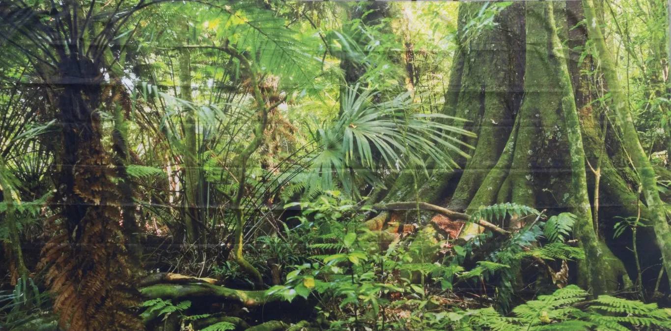 Horyzont Jungle 4 - tło fotograficzne tropikalny las - rent4events.pl, rent4wedding.pl.