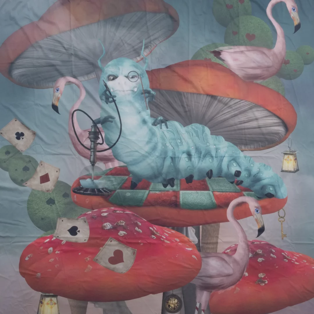 Alicja w Krainie Czarów